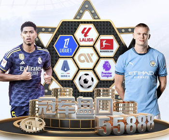 哲科：迪马尔科庆祝踢波黑很正常，不过社媒时代应该更聪明点